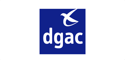 DGAC, plusieurs audits web effectués